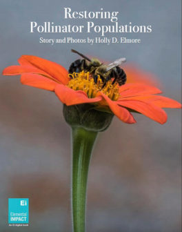 pollinator_eidigitalbook_cover-72dpi