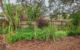 Food forest