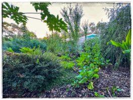 09-27-25_hei_ei_lushhappy