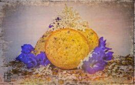 elder-flower-cake