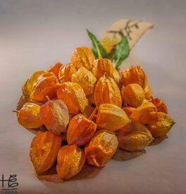 09-03-22_hei_ei_groundcherries-harvest-2