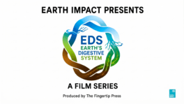 edsfilmseries_covergraphc